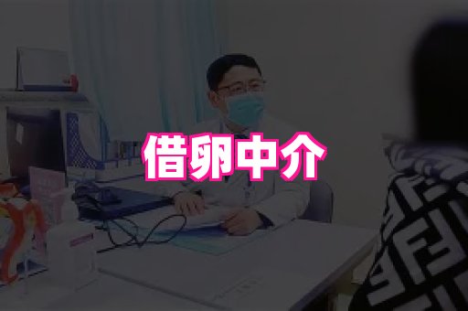 123试管孕网 1